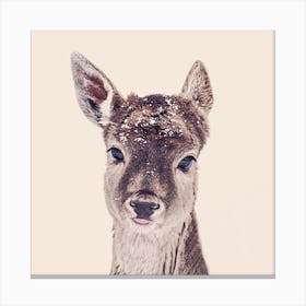 Fawn Rose Square Canvas Print