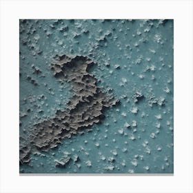 Ephemeral Canvas Print