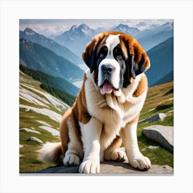 St Bernard Dog 42 Canvas Print