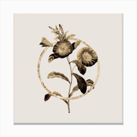 Gold Ring Field Bindweed Glitter Botanical Illustration n.0255 Canvas Print