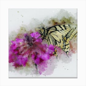 Butterfly On Purple Flower Canvas Print