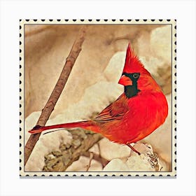 Cardinal Postage Stamp Square Canvas Print