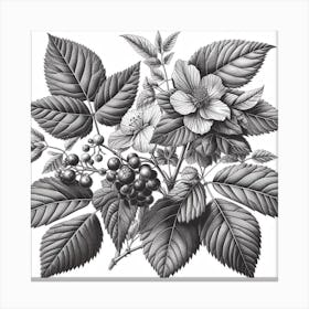 off  illustration of a leafy plant Canvas Print