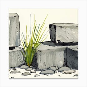 Rocks And Grass Canvas Print