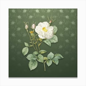 Vintage White Rose of York Botanical on Lunar Green Pattern n.0961 Canvas Print