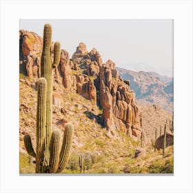Desert Mountains Cactus Canvas Print