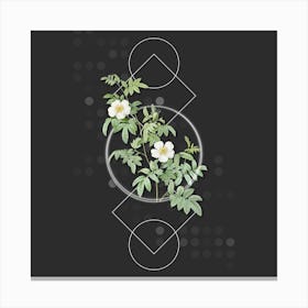 Vintage Musk Rose Botanical with Geometric Line Motif and Dot Pattern n.0255 Canvas Print