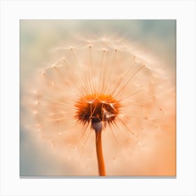 Dandelion 2 Canvas Print