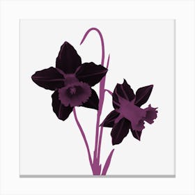 Purple Daffodils Canvas Print