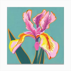 Iris 1 Square Flower Illustration Canvas Print