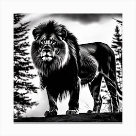 Lion In Black And White 1 Canvas Print