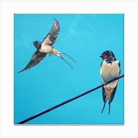 Two Swallows make a Spring Canvas Print