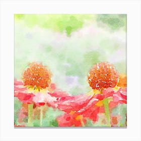 Red Cosmos Canvas Print