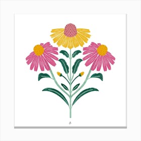 Echinacea Canvas Print