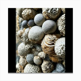 Sand And Shells Canvas Print