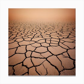Parched Earth Canvas Print