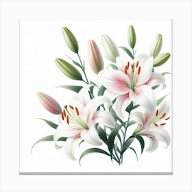 Lilies 1 Canvas Print