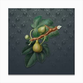 Vintage Fig Botanical on Slate Gray Pattern n.2055 Canvas Print