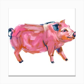 Hampshire Pig 04 Canvas Print