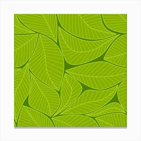 Pattern Leaves Walnut Nature Canvas Print