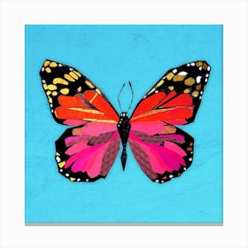 Butterfly In Red And Pink Canvas Print