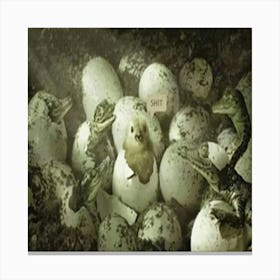 Crocodile Eggs Canvas Print