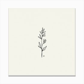 'Simple Botanical Illustration' Canvas Print