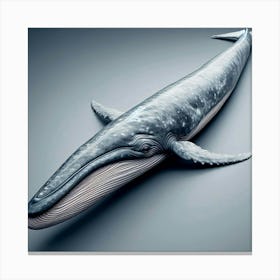 Whale - Whale Stock Videos & Royalty-Free Footage Canvas Print