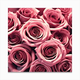 Pink Roses 16 Canvas Print