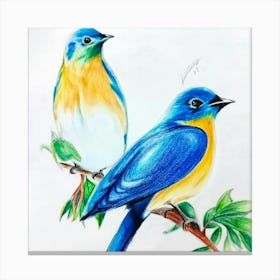 Bluebirds Canvas Print