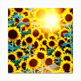 Sunflowers In A Field During Sunset Canvas Print