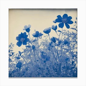 Flowers Photography In Style Anna Atkins (2) Canvas Print