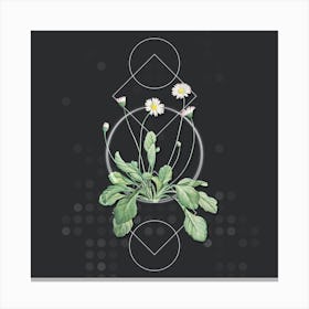 Vintage Daisy Flowers Botanical with Geometric Line Motif and Dot Pattern n.0099 Canvas Print