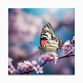 Butterfly On Cherry Blossoms 7 Canvas Print
