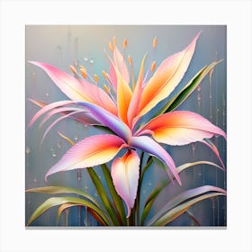 Flower of Bird of Paradise 12 Canvas Print