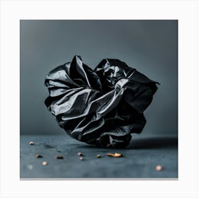 Black Trash Bag 1 Canvas Print