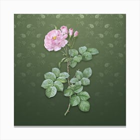 Vintage Damask Rose Botanical on Lunar Green Pattern n.0490 Canvas Print