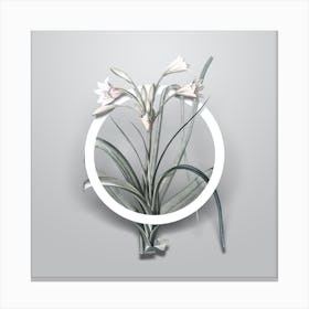 Vintage Malgas Lily Minimalist Floral Geometric Circle on Soft Gray n.0356 Canvas Print