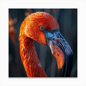 Flamingo 14 Canvas Print