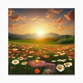 Daisy Field At Sunset Canvas Print