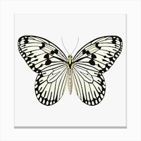 Butterfly Black & White Canvas Print