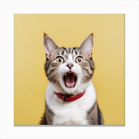 Scream Cat Canvas Print