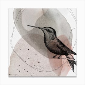 Feathered Friends Hummingbird Brown & Pink Square Canvas Print