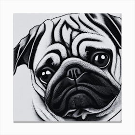 Pug Dog6 Canvas Print