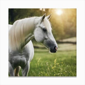 White Horse In A Field 2 Canvas Print