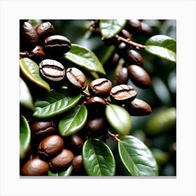 Coffee Beans 19 Canvas Print