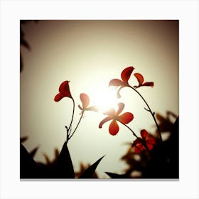 Flowers beautiful Canvas Print