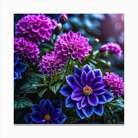 Purple Dahlias 1 Canvas Print