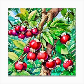 Pomegranate Tree Canvas Print