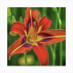 Red Lily Canvas Print